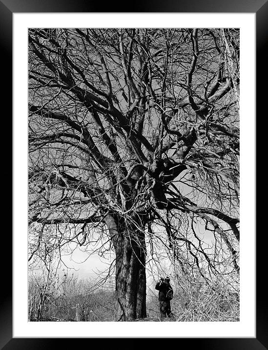under the old tree Framed Mounted Print by mark spencer