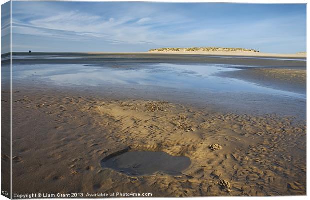 Paw prints in the sand, Wells-next-the-sea. Canvas Print by Liam Grant