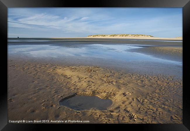 Paw prints in the sand, Wells-next-the-sea. Framed Print by Liam Grant
