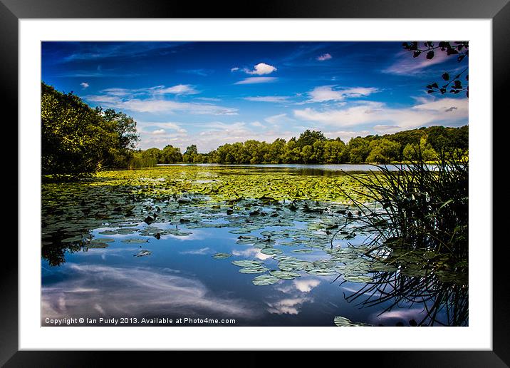 Osbournes pond Framed Mounted Print by Ian Purdy