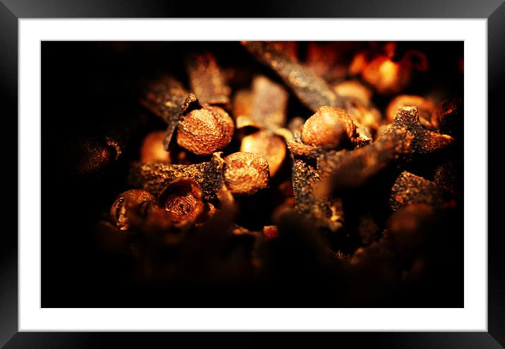 Cloves Framed Mounted Print by Frankie Arkell
