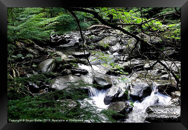 Hidden Valley Framed Print by Roger Butler