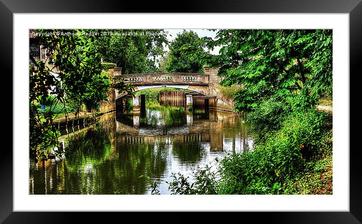 Pathway to the bridge HDR Framed Mounted Print by Anthony Hedger