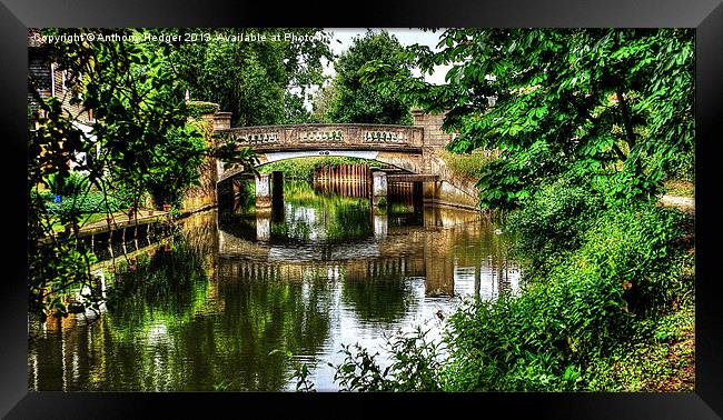 Pathway to the bridge HDR Framed Print by Anthony Hedger