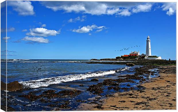 All washed up Canvas Print by Richie Fairlamb