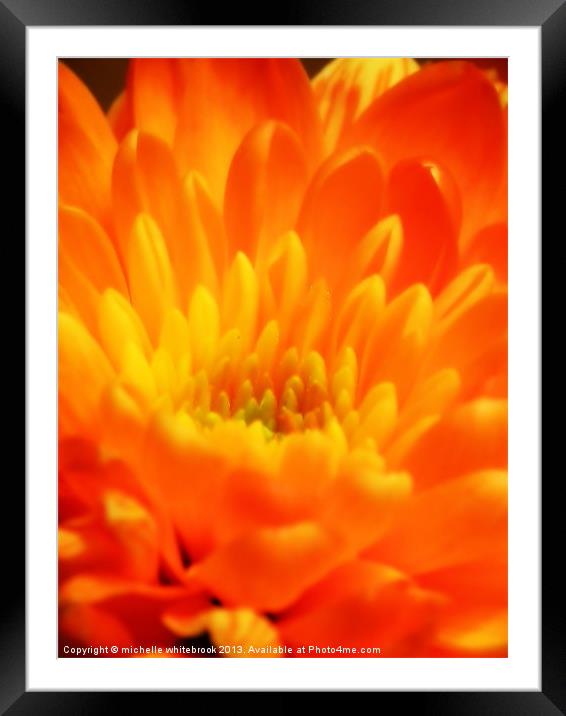 Dreamy flower Framed Mounted Print by michelle whitebrook