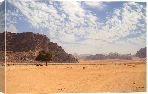 Desert Sky Canvas Print by Keith Thorne