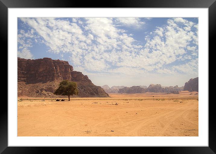 Desert Sky Framed Mounted Print by Keith Thorne