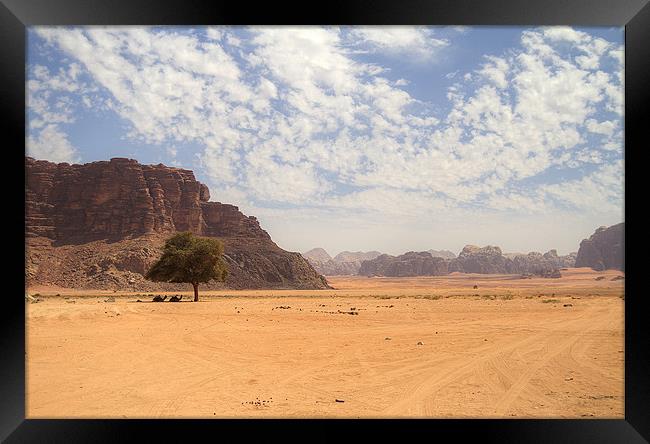 Desert Sky Framed Print by Keith Thorne
