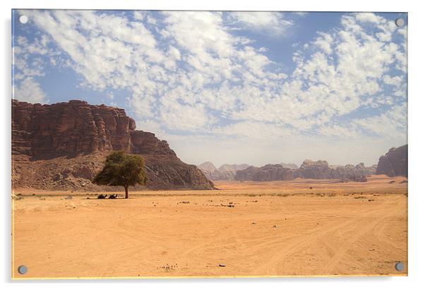 Desert Sky Acrylic by Keith Thorne