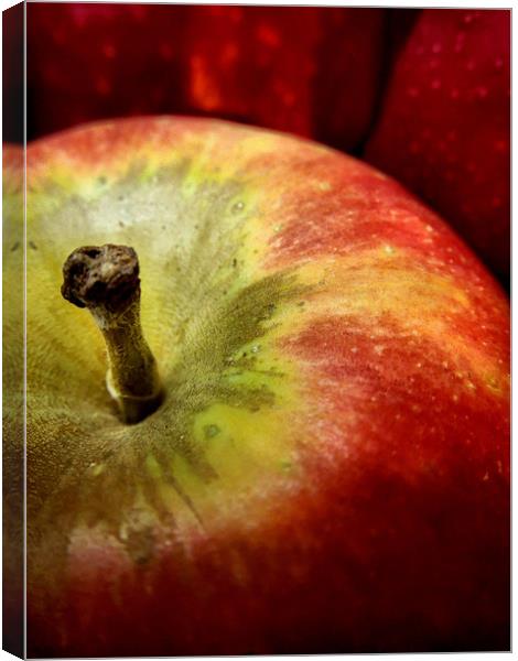 painted apples Canvas Print by Heather Newton