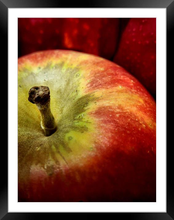 painted apples Framed Mounted Print by Heather Newton