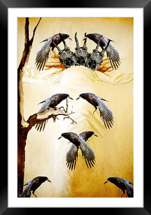 Carrion Framed Mounted Print by Dawn Cox