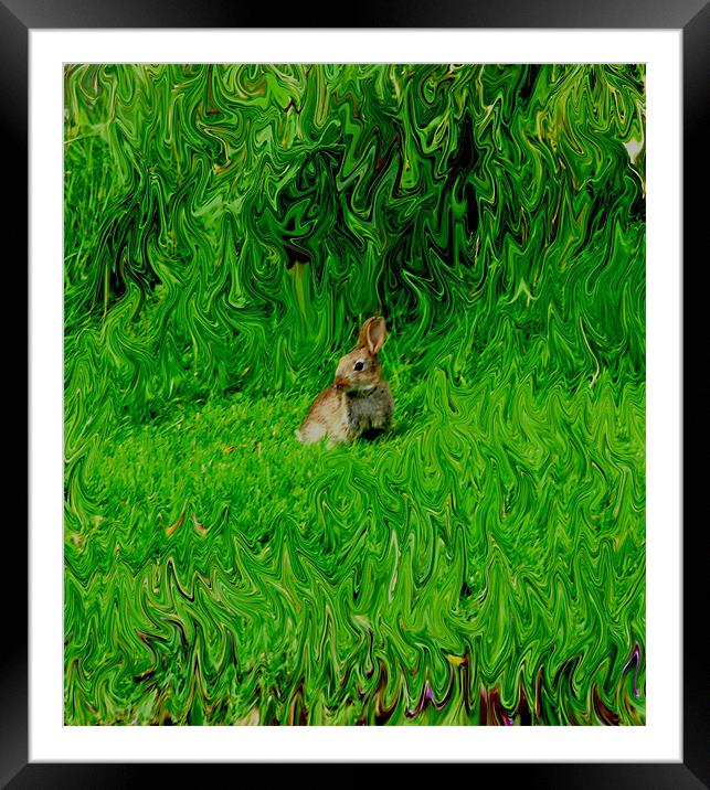 Alone  Framed Mounted Print by Julie Richmond