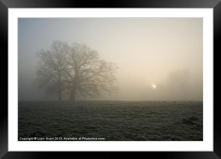Tree in fog at sunrise, Hilborough, Norfolk Framed Mounted Print by Liam Grant