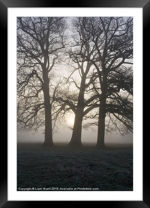 Sunrise behind trees in fog. Hilborough, Norfolk Framed Mounted Print by Liam Grant