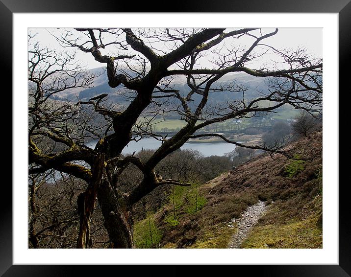 A Welsh Valley Footpath Framed Mounted Print by Ursula Keene