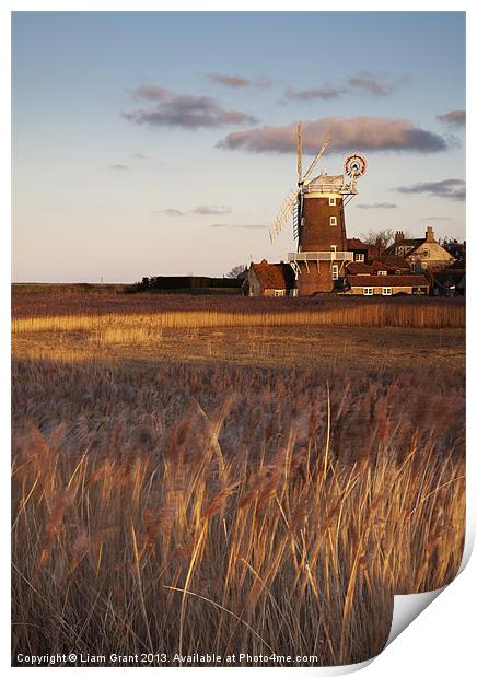 Reed beds at sunset with Cley Mill beyond. Print by Liam Grant
