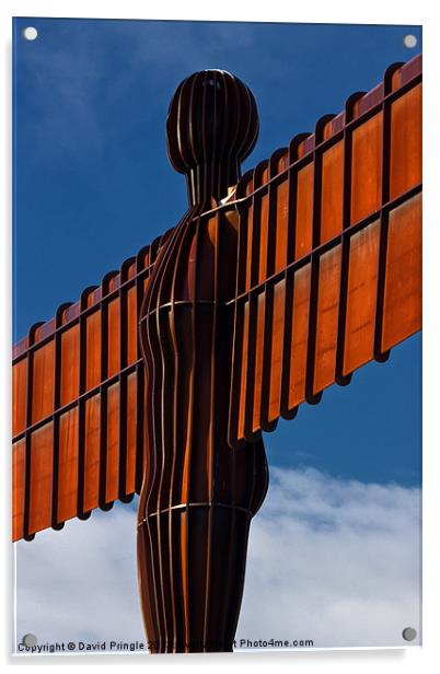 Angel of the North Acrylic by David Pringle