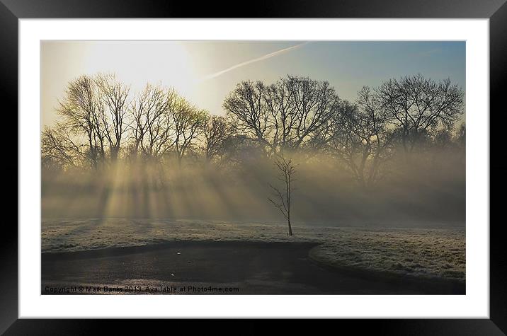 Sunrays In the Morning Framed Mounted Print by Mark  F Banks
