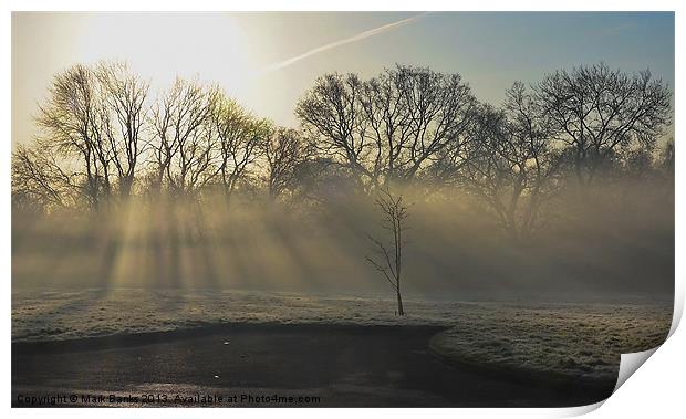 Sunrays In the Morning Print by Mark  F Banks