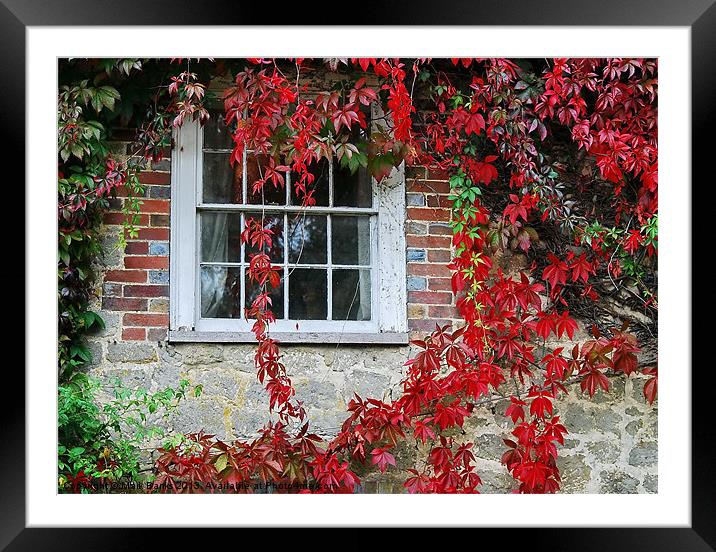 Mill Window Framed Mounted Print by Mark  F Banks