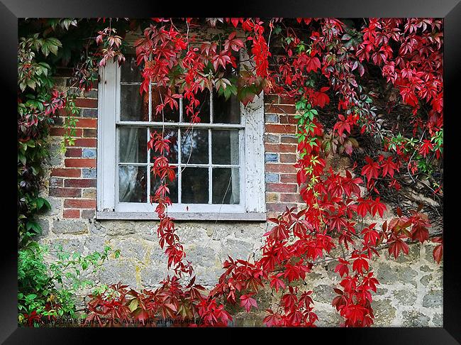 Mill Window Framed Print by Mark  F Banks