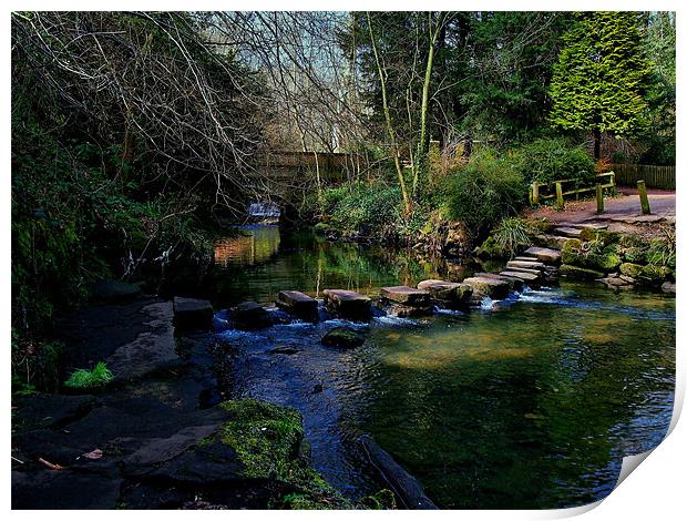 Stepping Stones Print by Richie Fairlamb