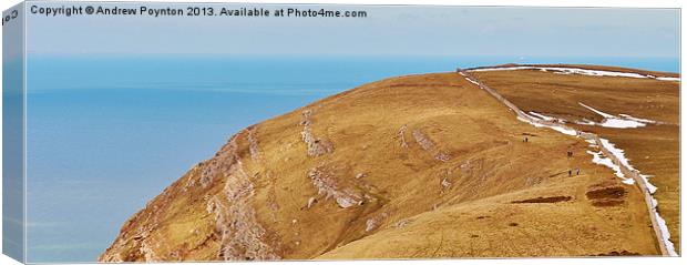 great orme Canvas Print by Andrew Poynton