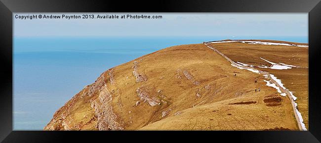great orme Framed Print by Andrew Poynton