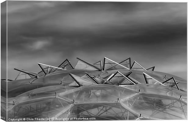 Eden Project Roof 2 Black and White Canvas Print by Chris Thaxter