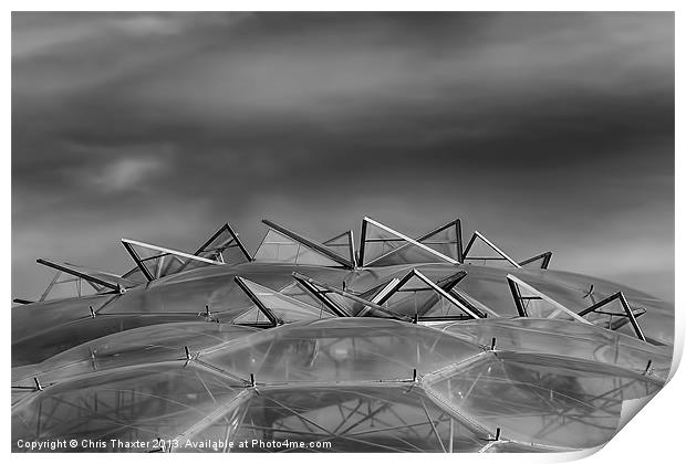 Eden Project Roof 2 Black and White Print by Chris Thaxter