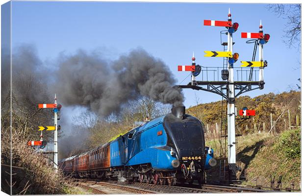 Historic steam train passing the signals Canvas Print by Ian Duffield