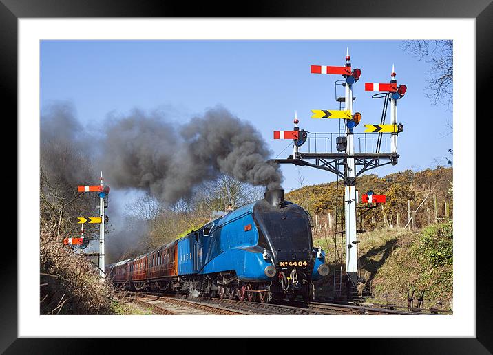 Historic steam train passing the signals Framed Mounted Print by Ian Duffield