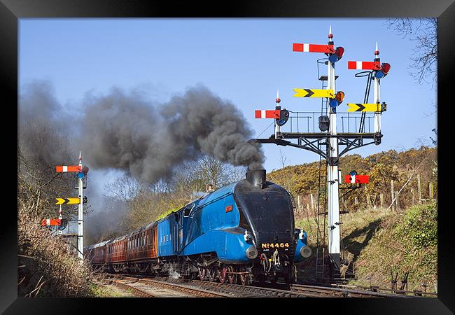Historic steam train passing the signals Framed Print by Ian Duffield