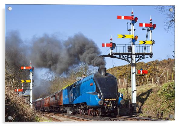 Historic steam train passing the signals Acrylic by Ian Duffield
