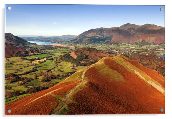 Stunning view from Catbells to Bassenthwaite Acrylic by Ian Duffield