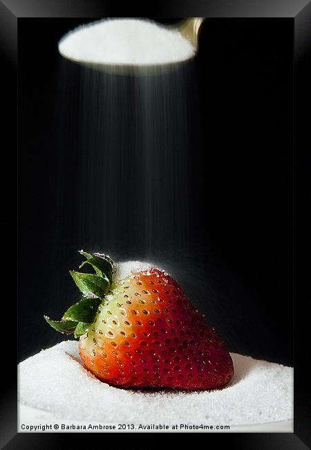 Sweet Strawberry Framed Print by Barbara Ambrose