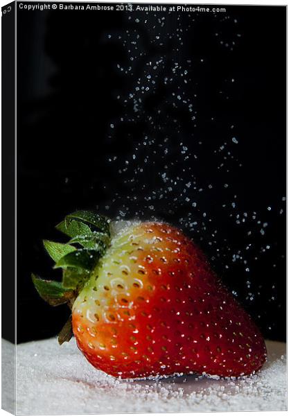red strawberry Canvas Print by Barbara Ambrose