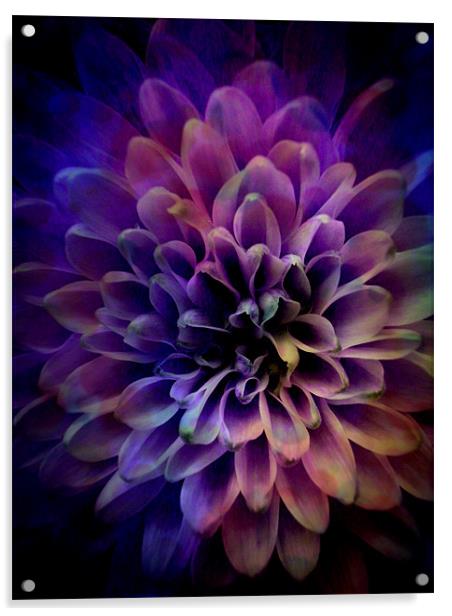 FLOWER POWER Acrylic by Jacque Mckenzie