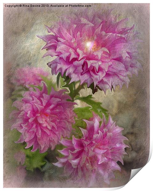 Pinkies Print by Fine art by Rina