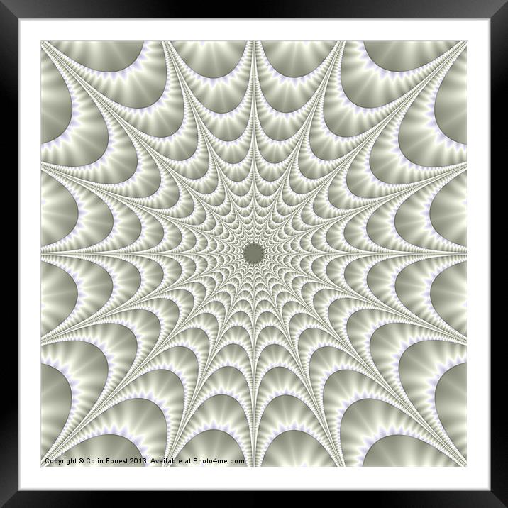 Quilted Web in White Framed Mounted Print by Colin Forrest
