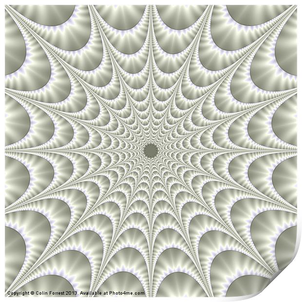 Quilted Web in White Print by Colin Forrest