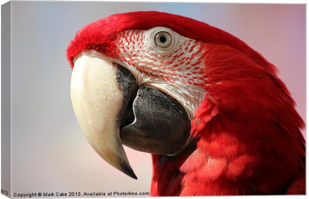 Green wing macaw Canvas Print by Mark Cake