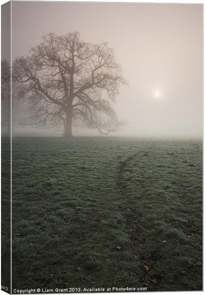 Sunrise and tree in heavy fog. Hilborough, Norfolk Canvas Print by Liam Grant
