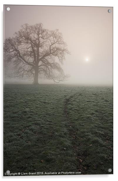 Sunrise and tree in heavy fog. Hilborough, Norfolk Acrylic by Liam Grant
