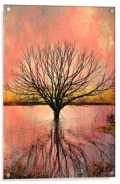 Mystical Pond Acrylic by Robert  Radford