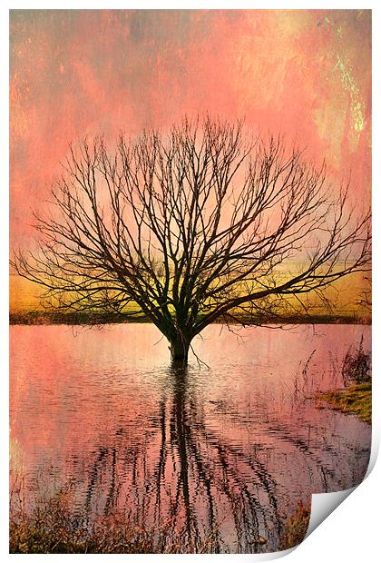 Mystical Pond Print by Robert  Radford