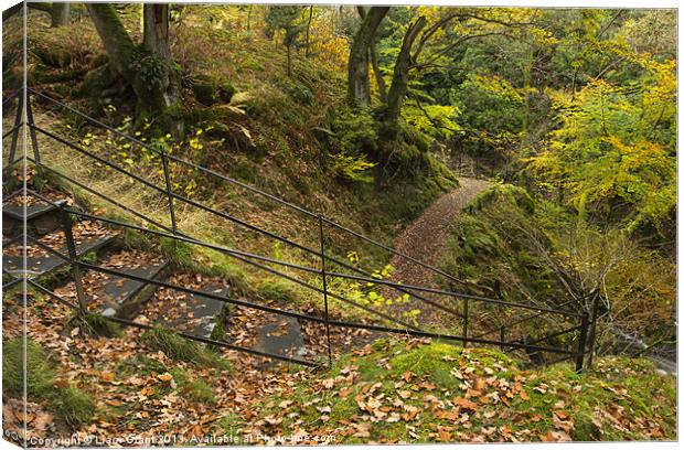 Steps at Aira Force. Near Ullswater, Lake District Canvas Print by Liam Grant