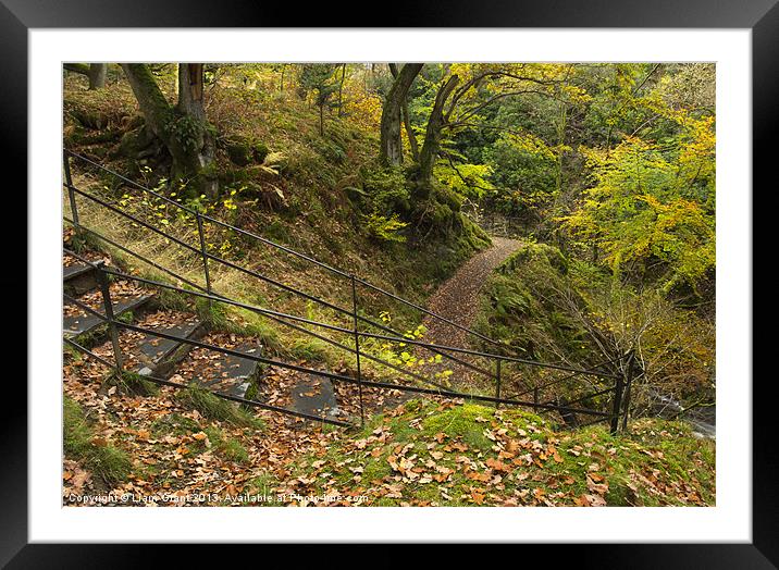 Steps at Aira Force. Near Ullswater, Lake District Framed Mounted Print by Liam Grant